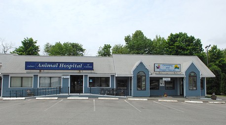 Lainer Animal Hospital