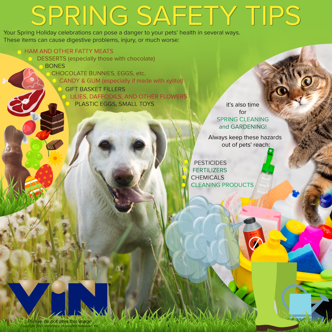 Spring Safety Tips Infographic
